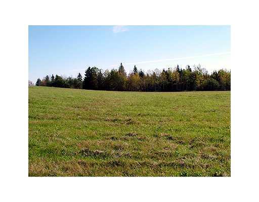 Lot 40 Front Ridge Road Houlton, ME 04730 - Photo 6 of 8 Land.