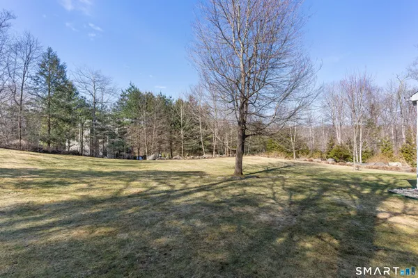 a view of a yard with trees