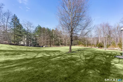 a view of a field with trees