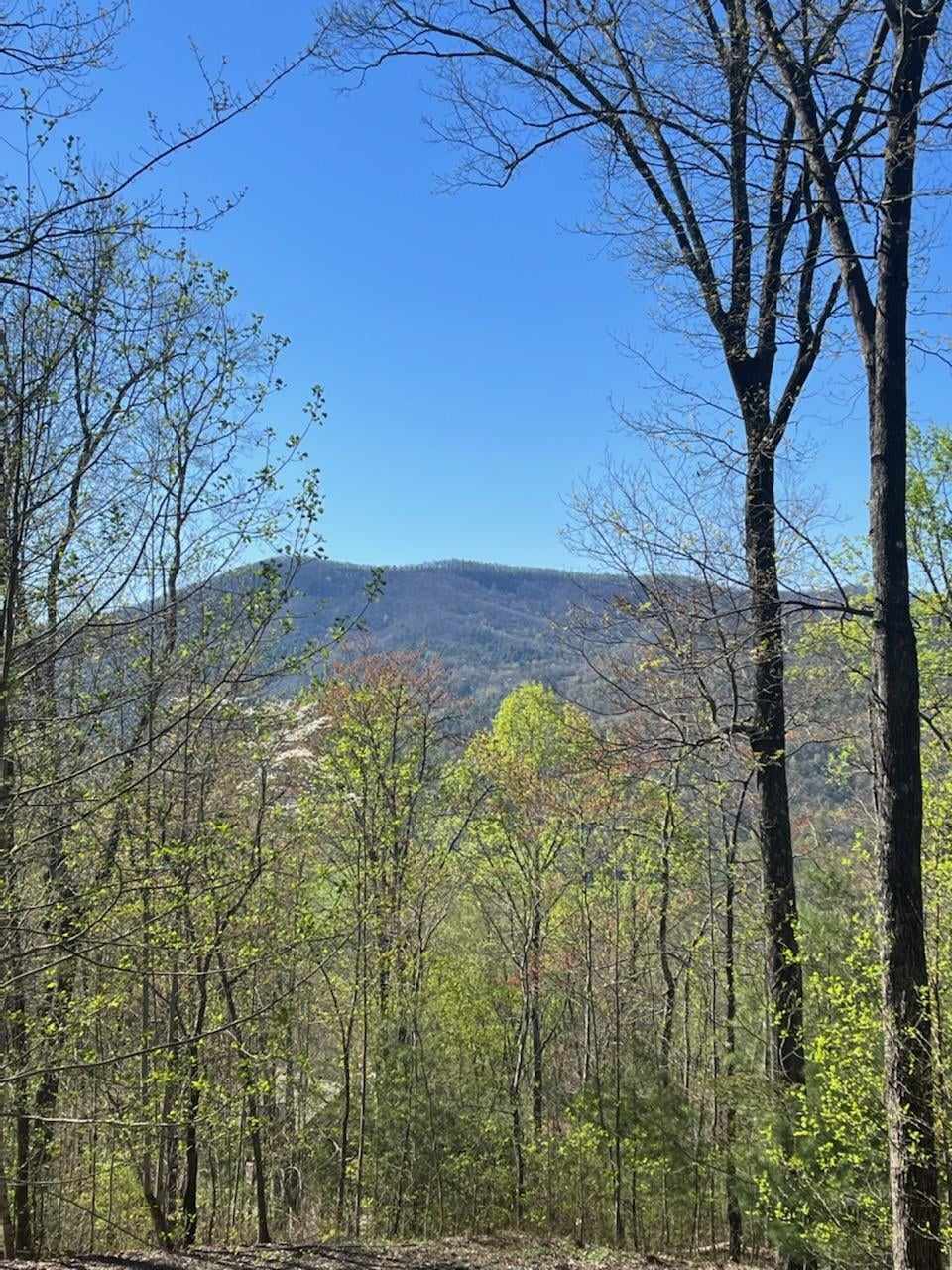 92 Boulder Lane Rabun Gap, GA 30568 - Photo 50 of 55