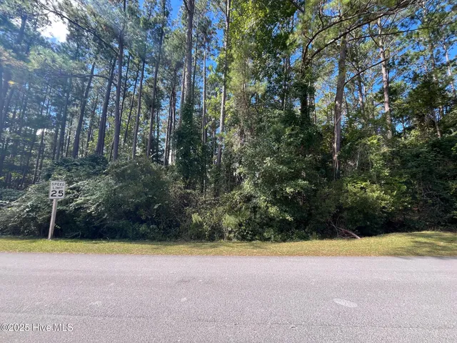 $25,000 | 320 Hardison Drive, Minnesott Beach, NC 28510
