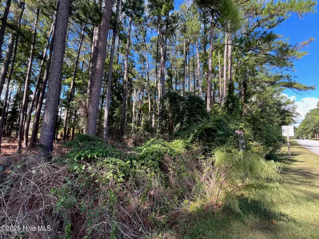 $25,000 | 320 Hardison Drive, Minnesott Beach, NC 28510