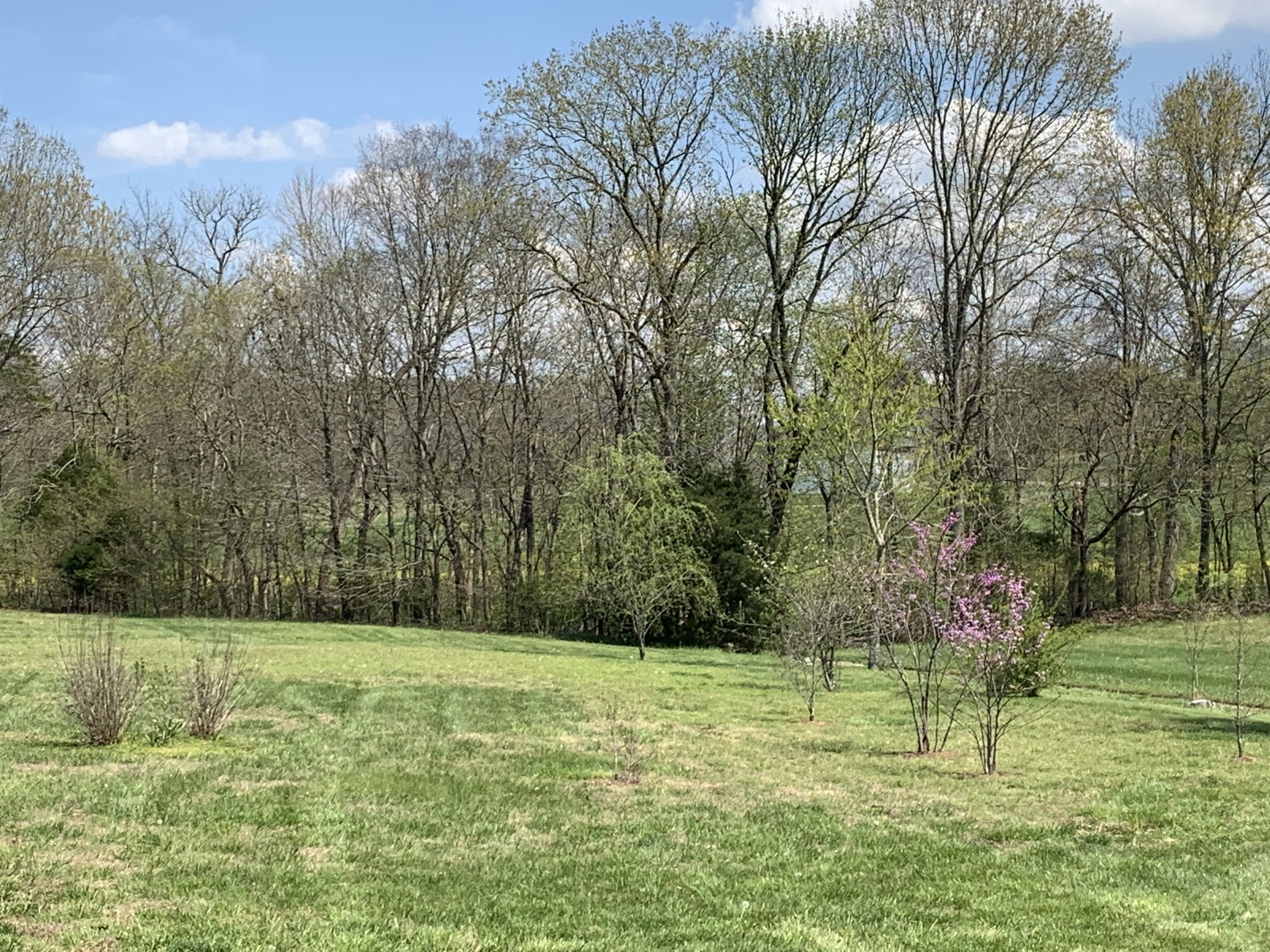 412 Ranch Road Portland, TN 37148 - Photo 28 of 35