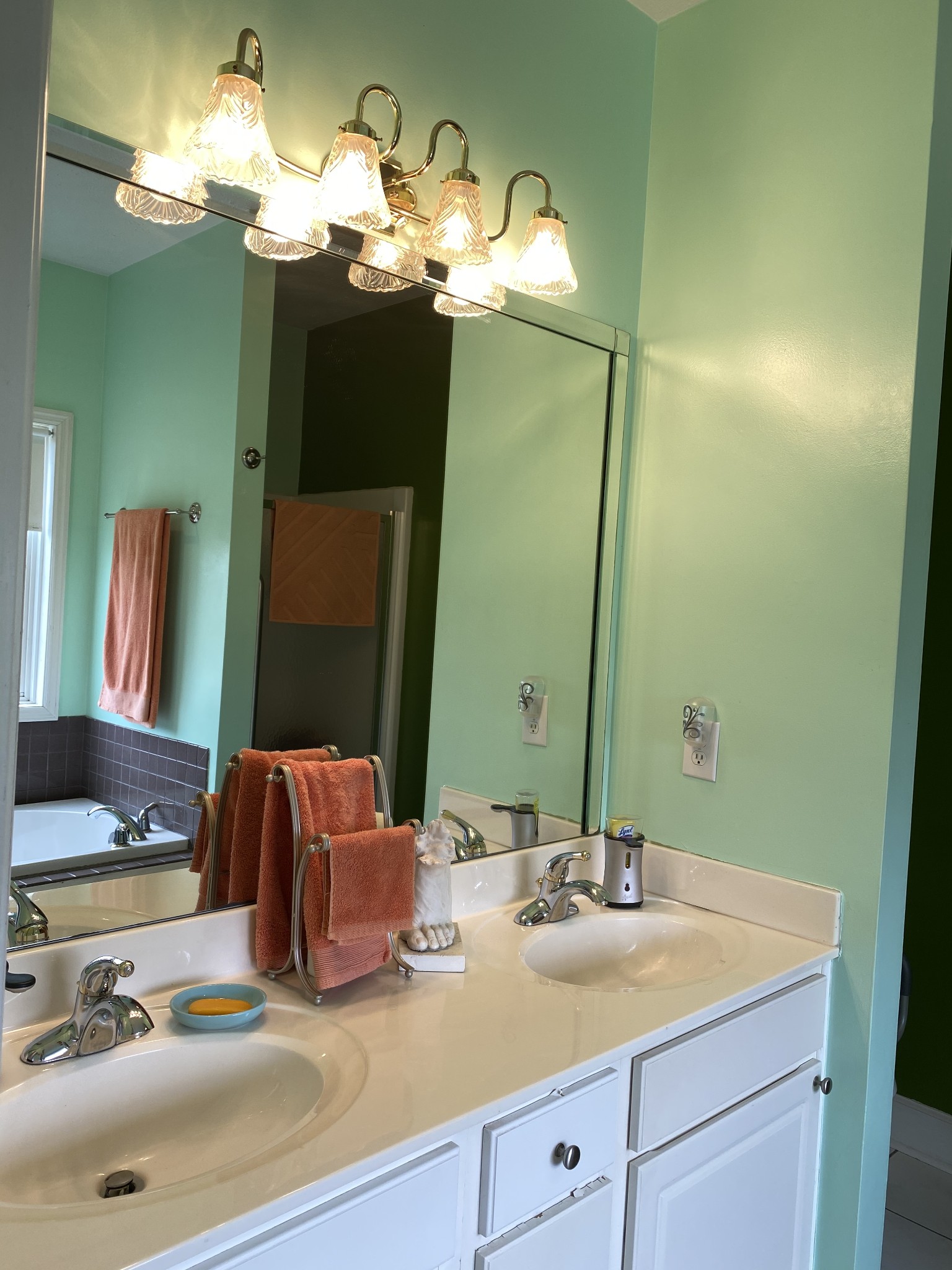 412 Ranch Road Portland, TN 37148 - Photo 7 of 35 a bathroom with a sink and a mirror