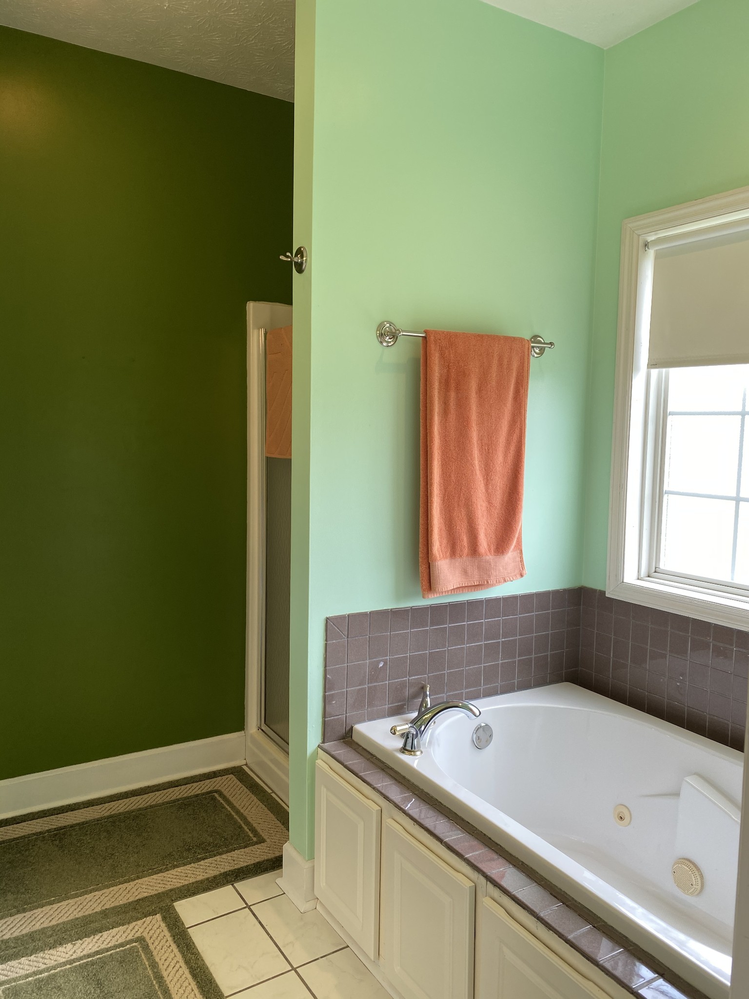 412 Ranch Road Portland, TN 37148 - Photo 8 of 35 a bathroom with a bathtub and shower