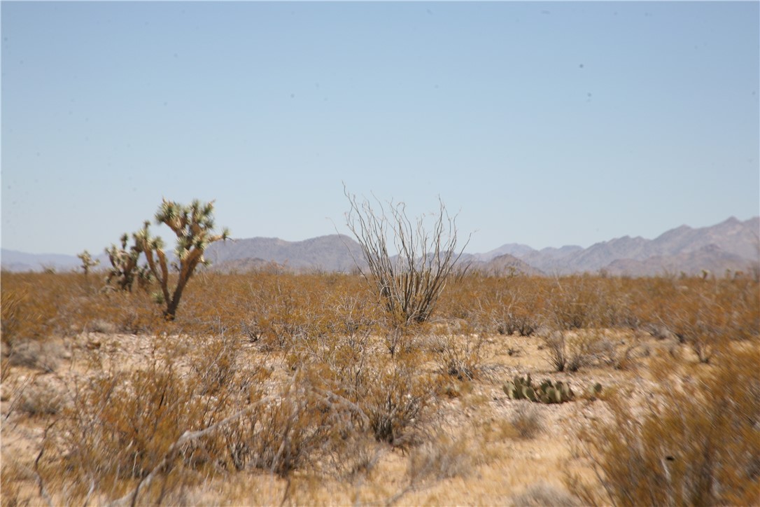 207-17-097 South Cameron Road Yucca, AZ 86438 - Photo 11 of 34