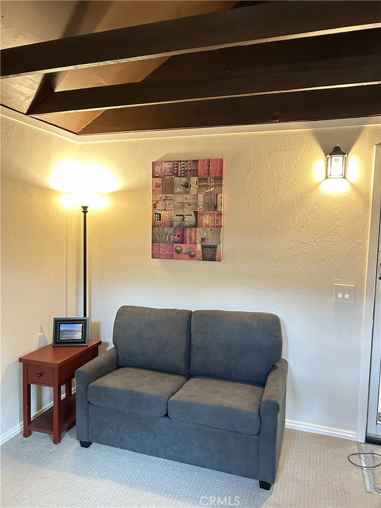 21803 Plunge Road Cedarpines Park, CA 92322 - Photo 6 of 7 Couch in Living area