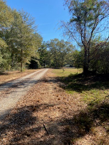1230 Middleton Road Dothan, AL 36301 - Photo 4 of 21