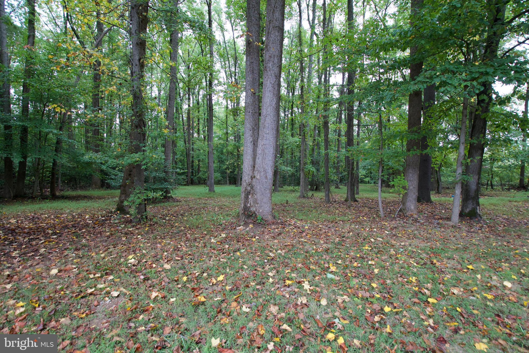 15301 Poplar Hill Road Accokeek, MD 20607 - Photo 82 of 88 treeline