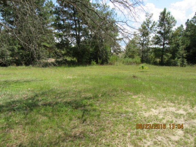 2233 McNutt Road Augusta, GA 30906 - Photo 3 of 12
