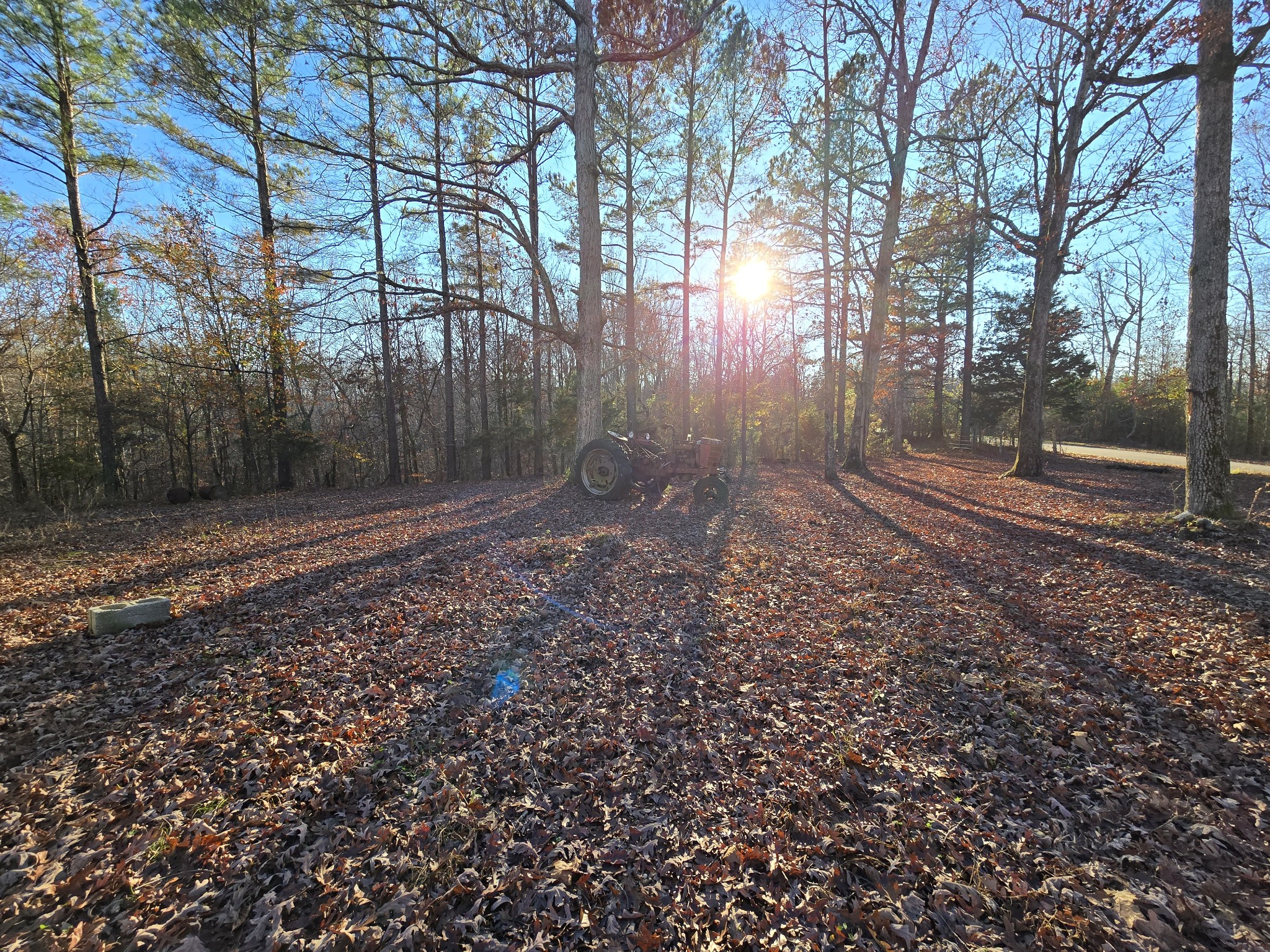 601 Anglin Ridge Road Dover, TN 37058 - Photo 20 of 29 a view of a yard with trees in the background