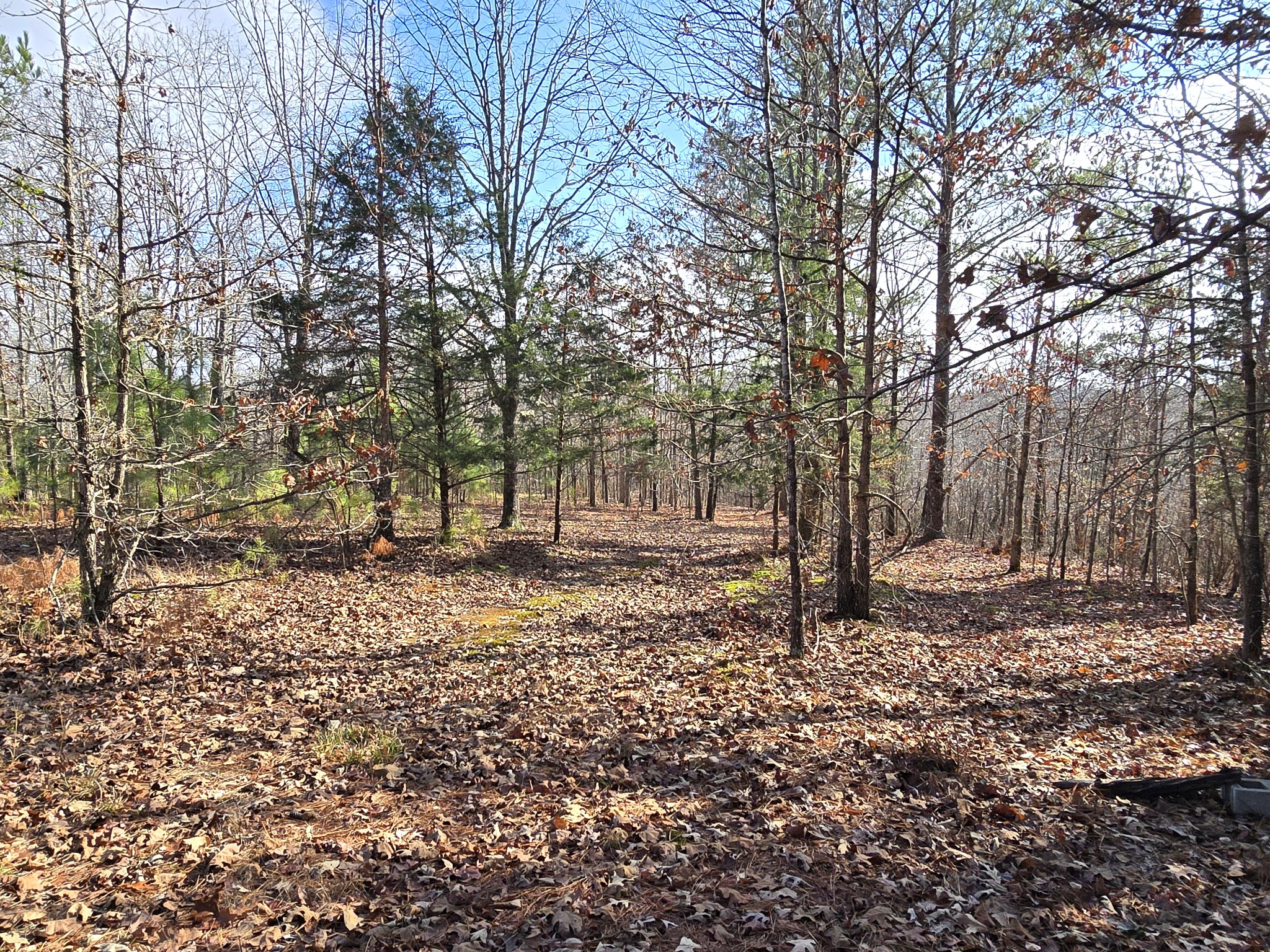 601 Anglin Ridge Road Dover, TN 37058 - Photo 24 of 30 a backyard of a house with lots of green space