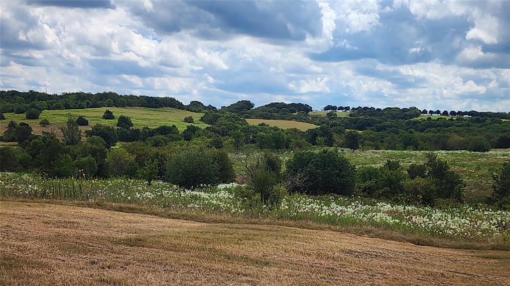 0 Parker Hill Road Ennis, TX 75119 - Photo 14 of 16 a view of a lake with a city
