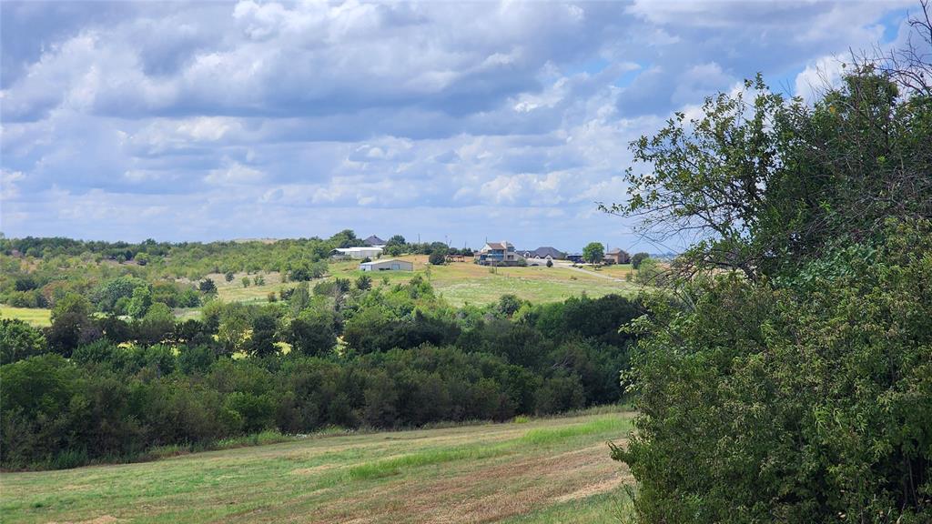 0 Parker Hill Road Ennis, TX 75119 - Photo 3 of 16 a view of a big yard with a large tree