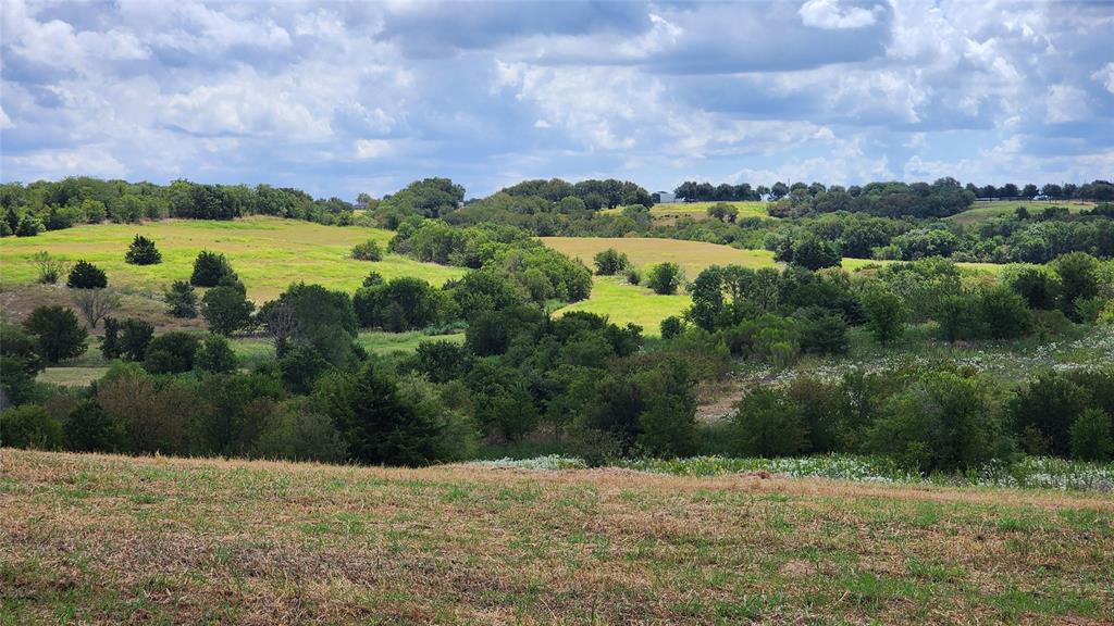 0 Parker Hill Road Ennis, TX 75119 - Photo 6 of 16 a view of a lake with a building in the background