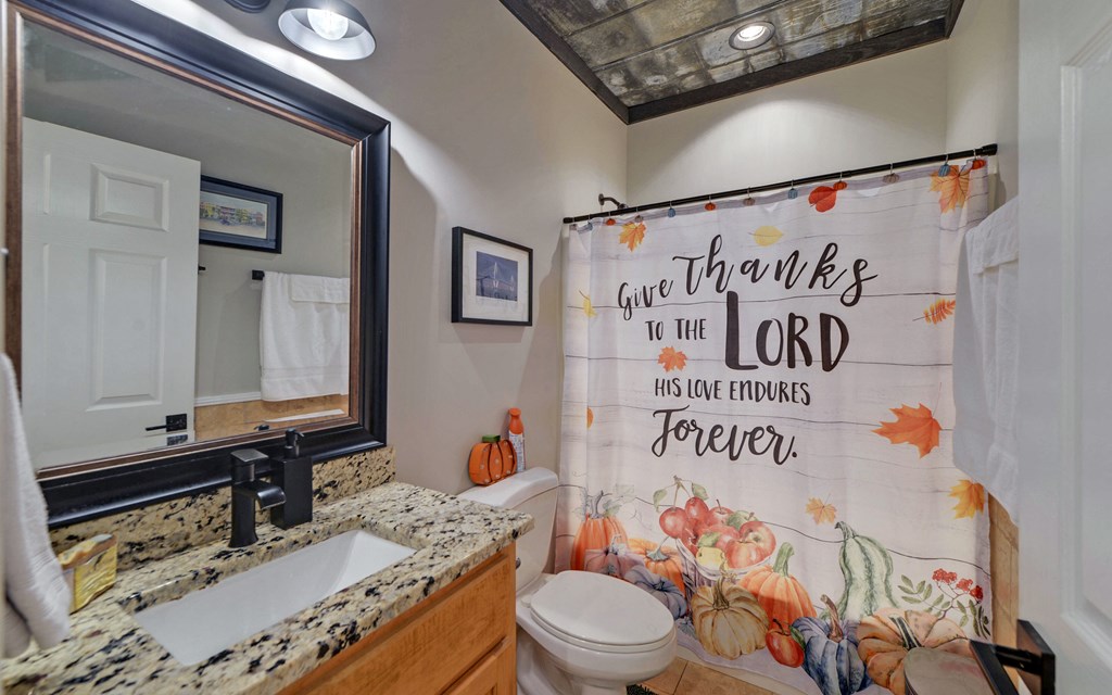 280 Cherokee Court Ellijay, GA 30540 - Photo 22 of 73 a bathroom with a sink a toilet and a shower curtain