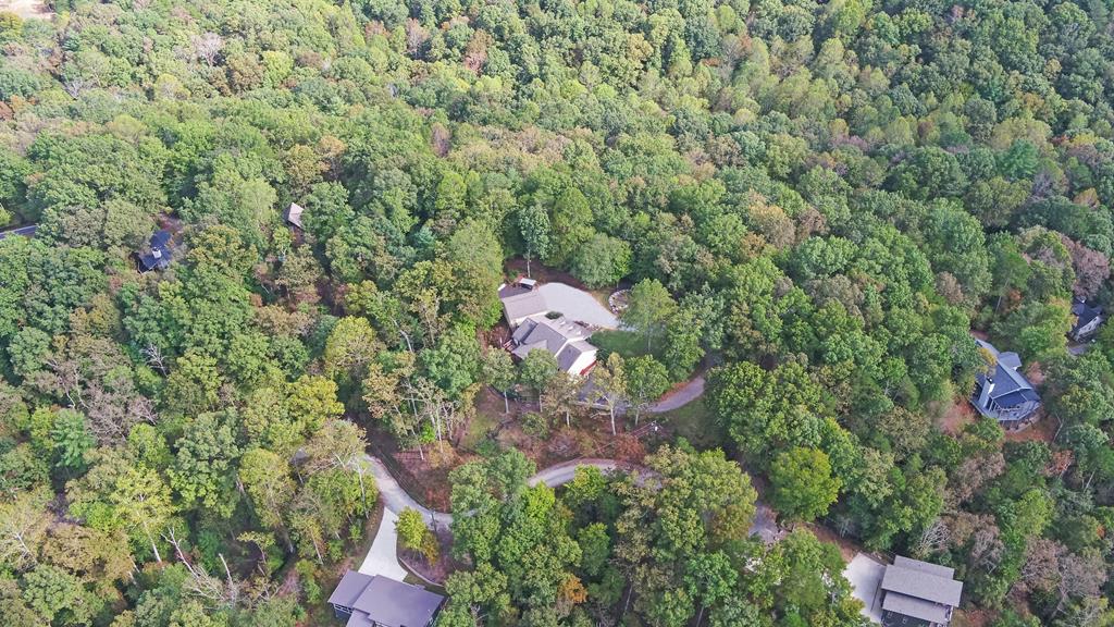 280 Cherokee Court Ellijay, GA 30540 - Photo 62 of 73