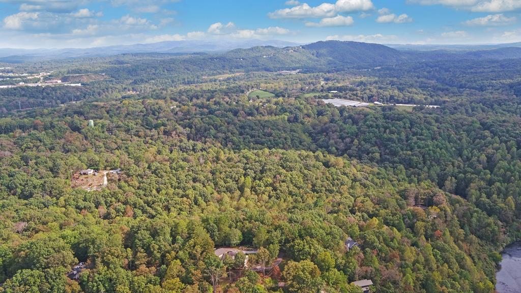 280 Cherokee Court Ellijay, GA 30540 - Photo 63 of 73