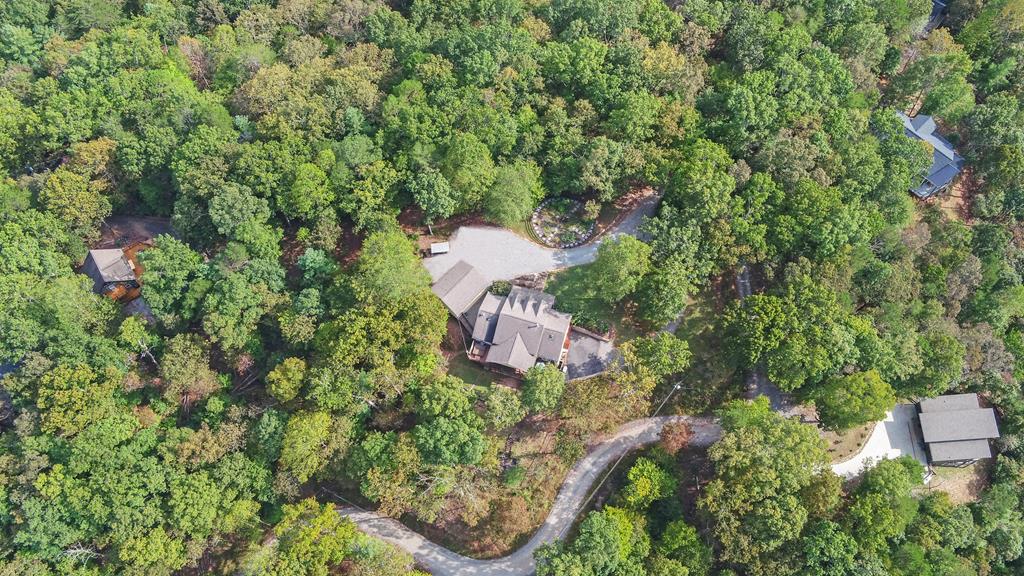 280 Cherokee Court Ellijay, GA 30540 - Photo 66 of 73 an aerial view of a house with a yard and outdoor seating