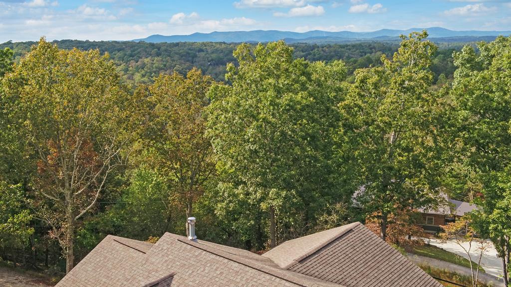280 Cherokee Court Ellijay, GA 30540 - Photo 68 of 73 a view of a yard