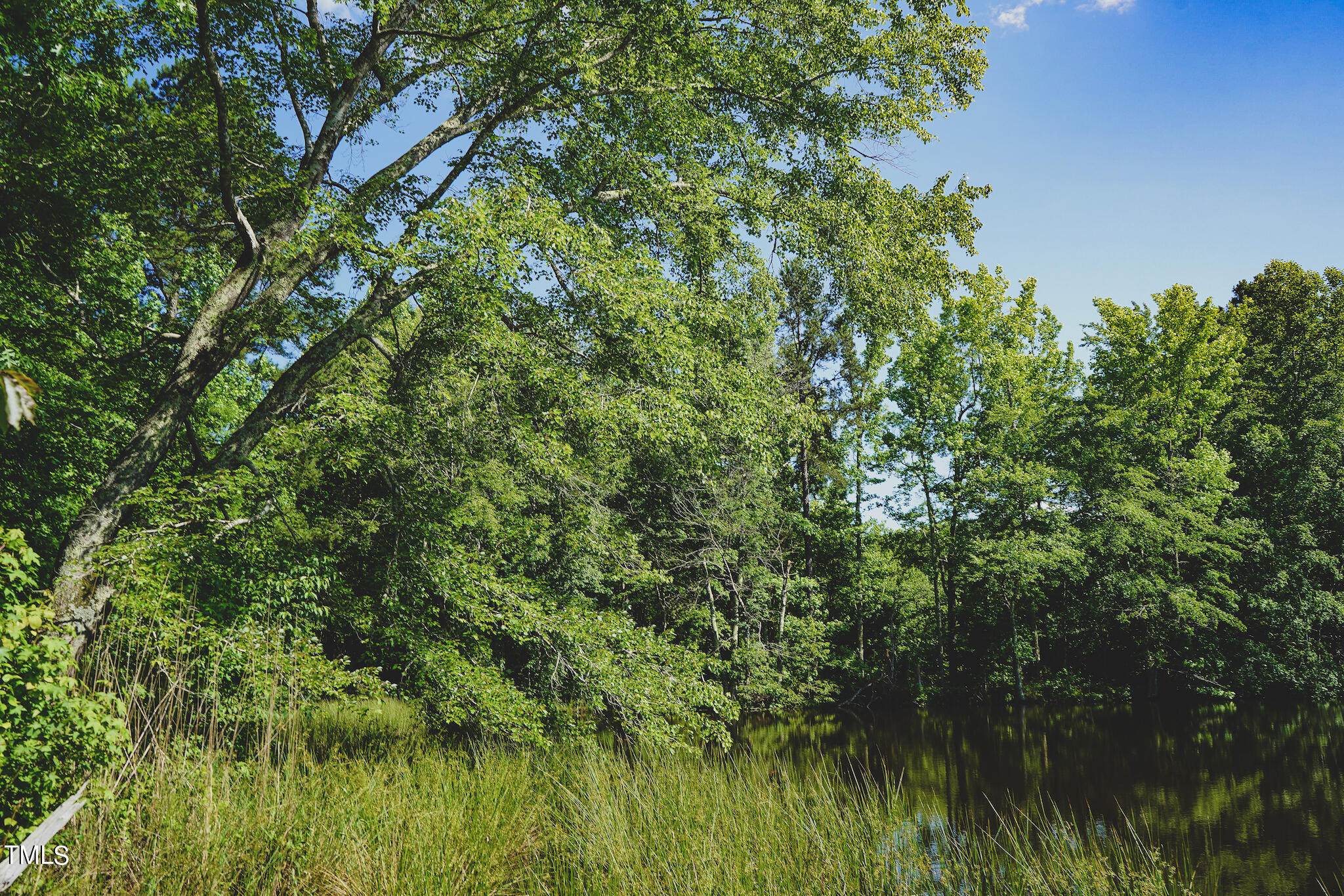 111-acres Hobgood Road Rougemont, NC 27572 - Photo 24 of 65 24
