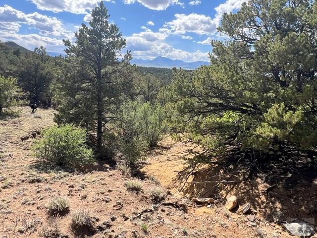 96 River Ridge Trail Walsenburg, CO 81089 - Photo 8 of 28