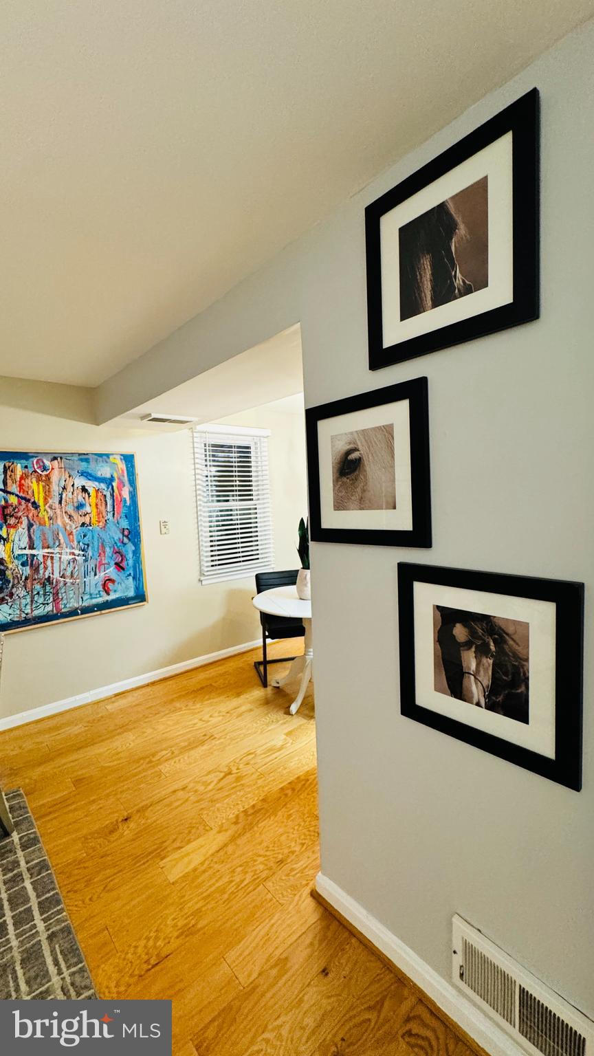 1111 Dennis Avenue Silver Spring, MD 20901 - Photo 5 of 55 Living Room