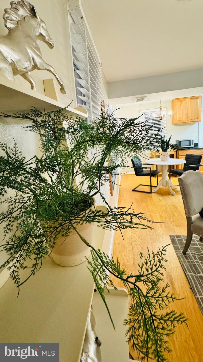 1111 Dennis Avenue Silver Spring, MD 20901 - Photo 8 of 55 Living Room