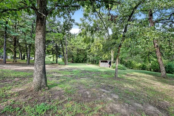 a green field with lots of trees