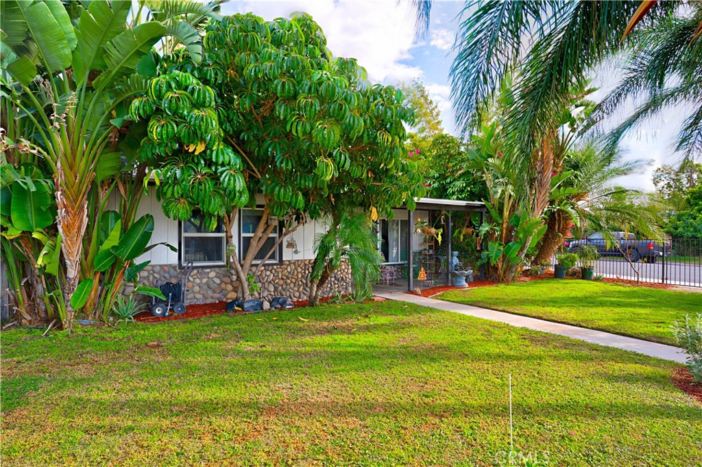 a view of a backyard with a small cabin
