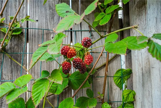 a view of a house with swimming pool