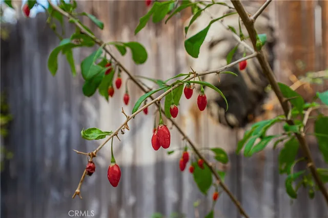 a view of a patio with table and chairs under an umbrella with wooden floor