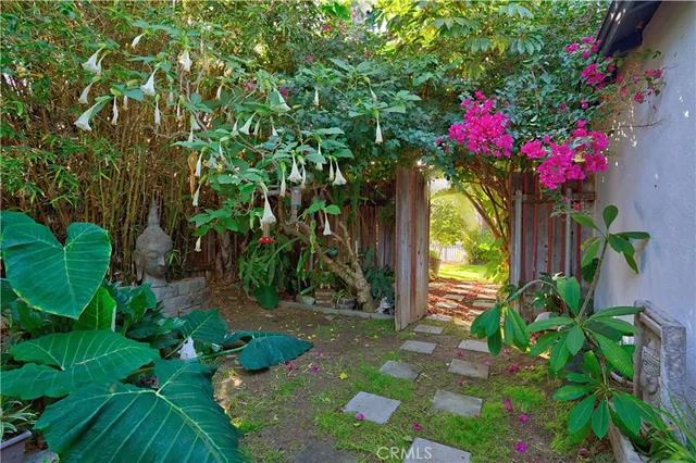 a view of banana tree