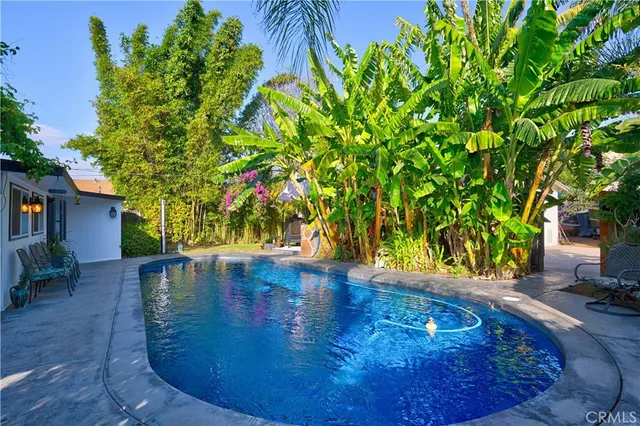 a view of a park with palm trees