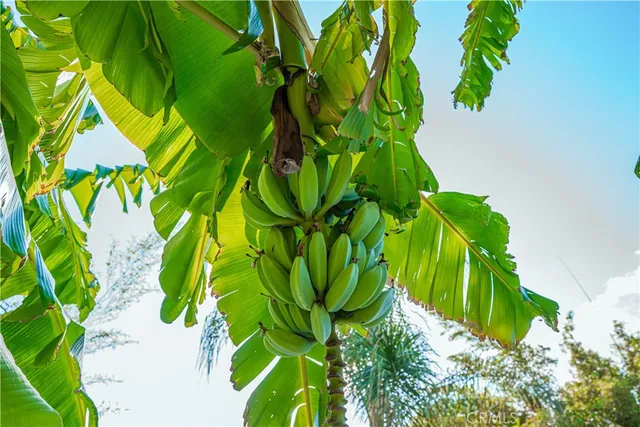 $650,000 | 6580 Lake Street, Riverside, CA 92503