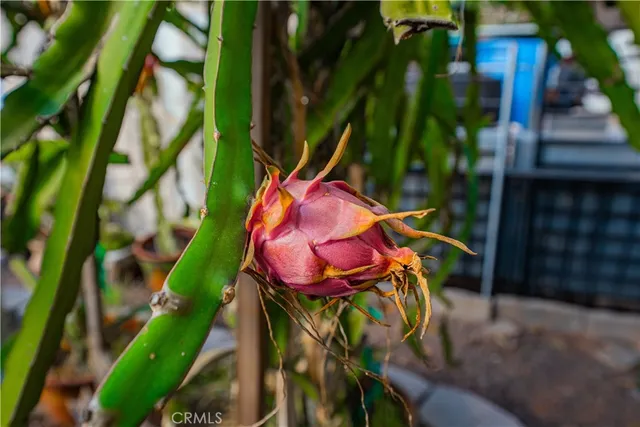 $650,000 | 6580 Lake Street, Riverside, CA 92503