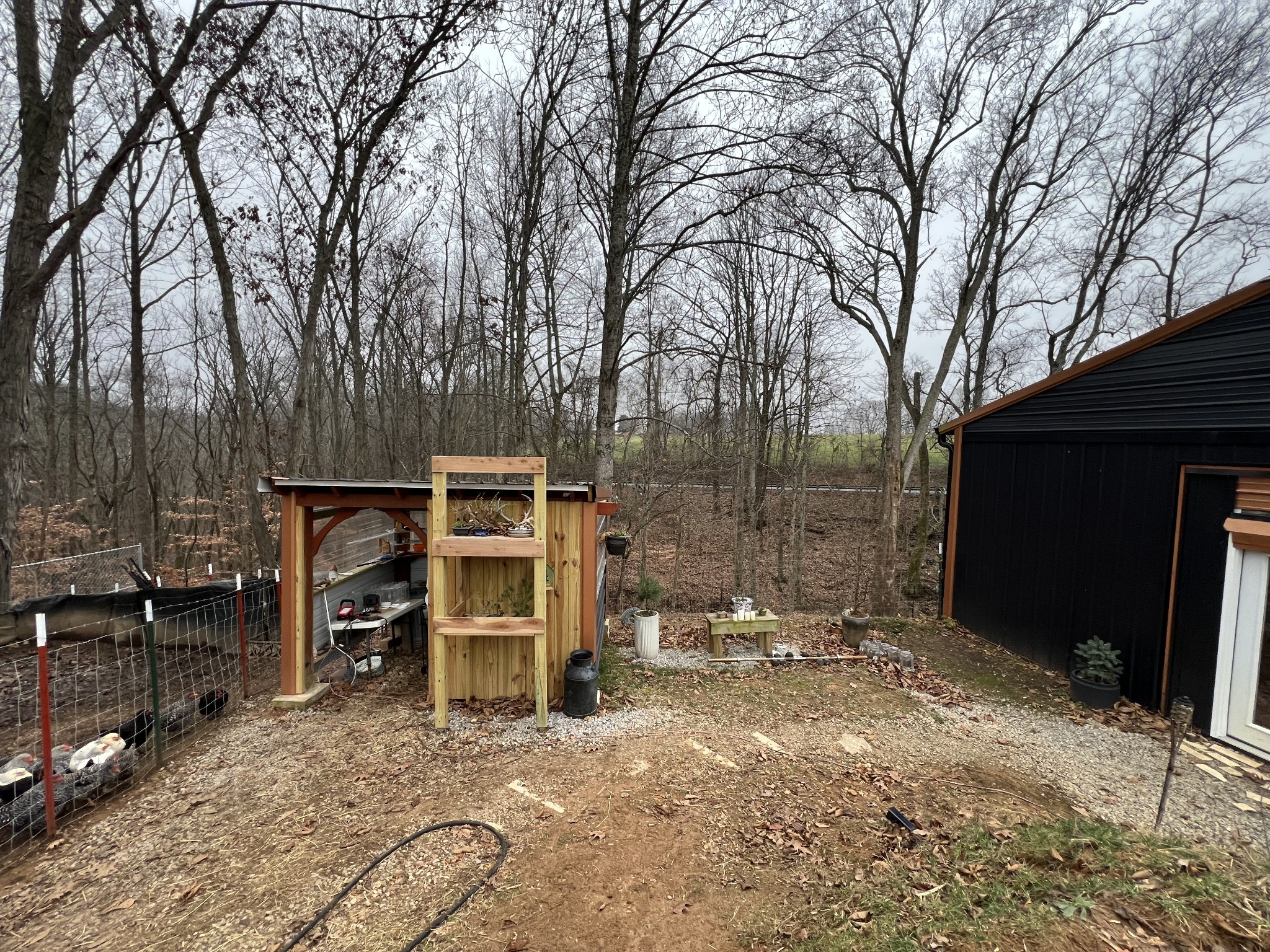 75 New Harmony Road Lafayette, TN 37083 - Photo 30 of 45 a view of a backyard with furniture and a large tree
