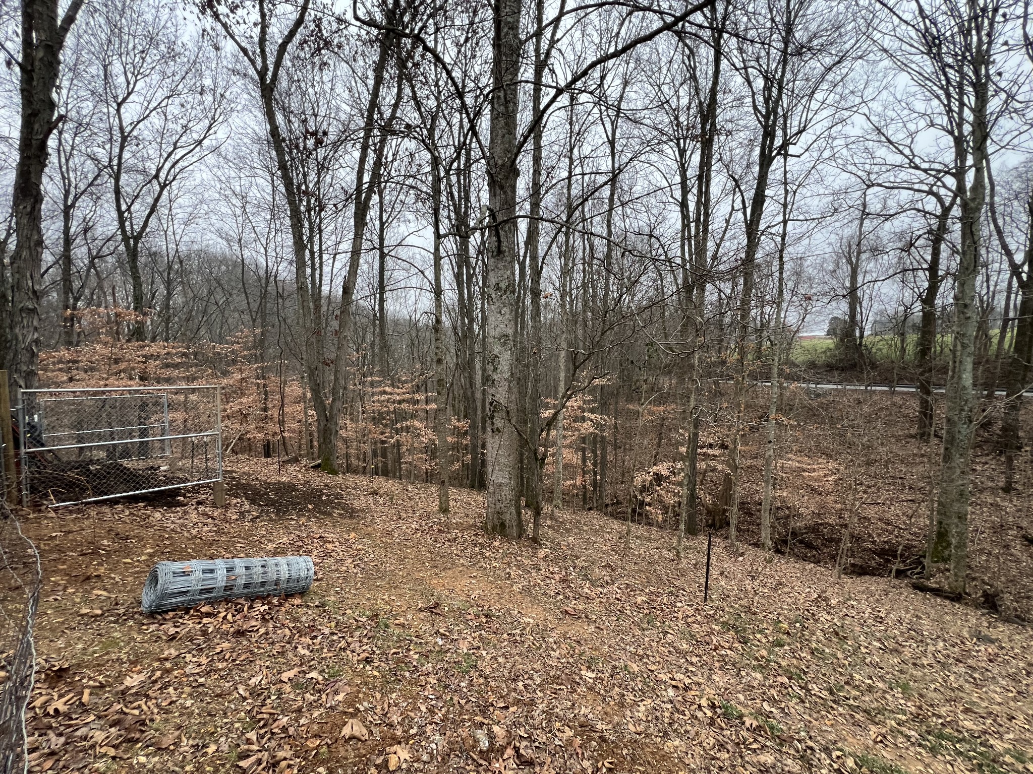 75 New Harmony Road Lafayette, TN 37083 - Photo 33 of 45 a backyard of a house with lots of green space