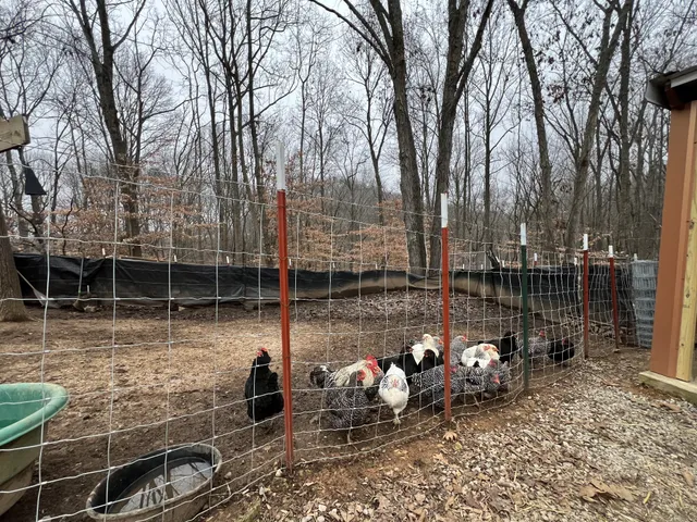 $330,000 | 75 New Harmony Road, Lafayette, TN 37083