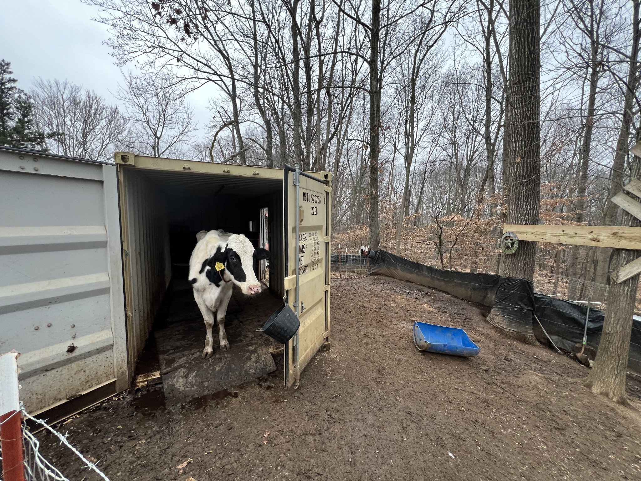 75 New Harmony Road Lafayette, TN 37083 - Photo 34 of 45 a backyard of a house with barbeque oven and a table and chairs