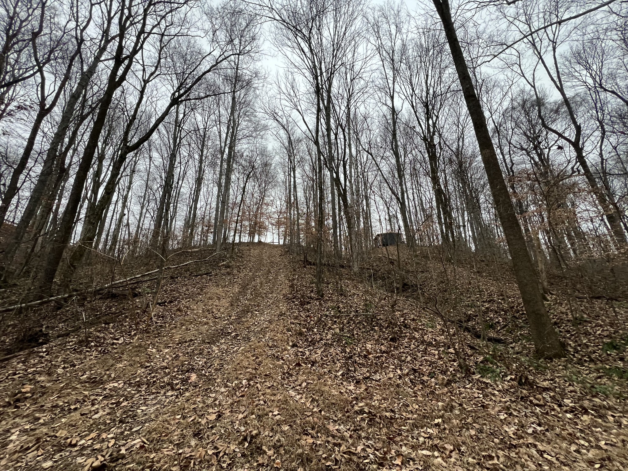 75 New Harmony Road Lafayette, TN 37083 - Photo 39 of 45 a backyard of a house with lots of green space