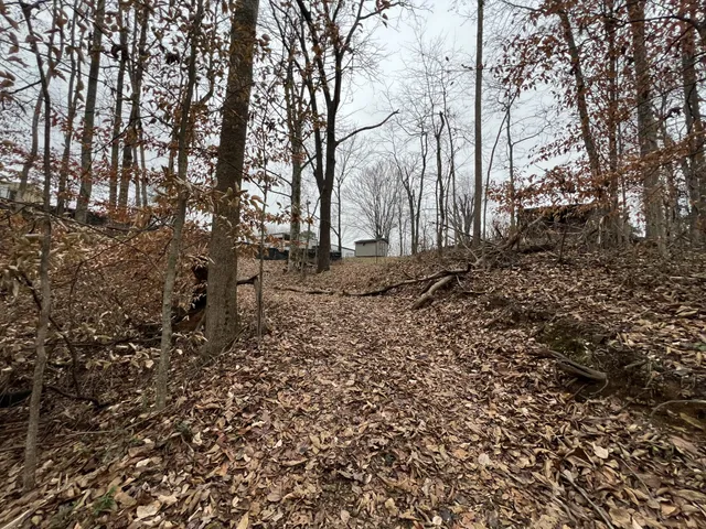 $330,000 | 75 New Harmony Road, Lafayette, TN 37083