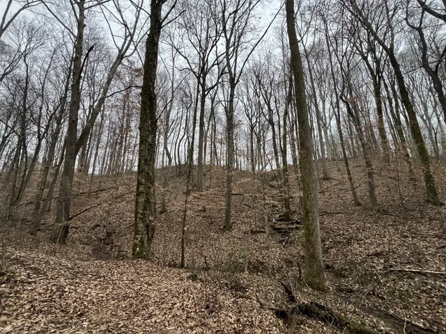 $330,000 | 75 New Harmony Road, Lafayette, TN 37083