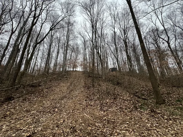 $330,000 | 75 New Harmony Road, Lafayette, TN 37083