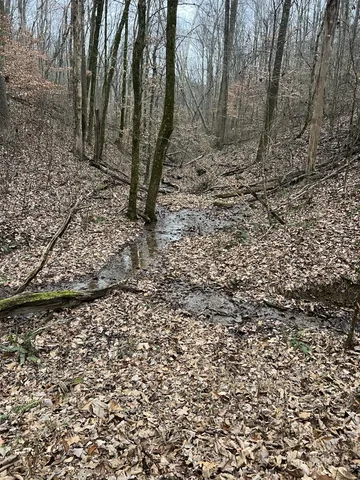 $330,000 | 75 New Harmony Road, Lafayette, TN 37083