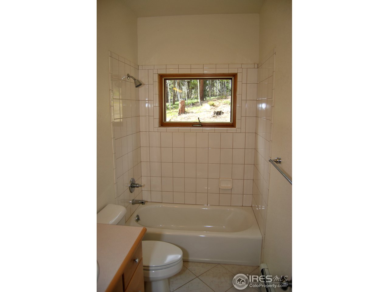 98 Badger Road Black Hawk, CO 80422 - Photo 19 of 25 Gallery Image 19