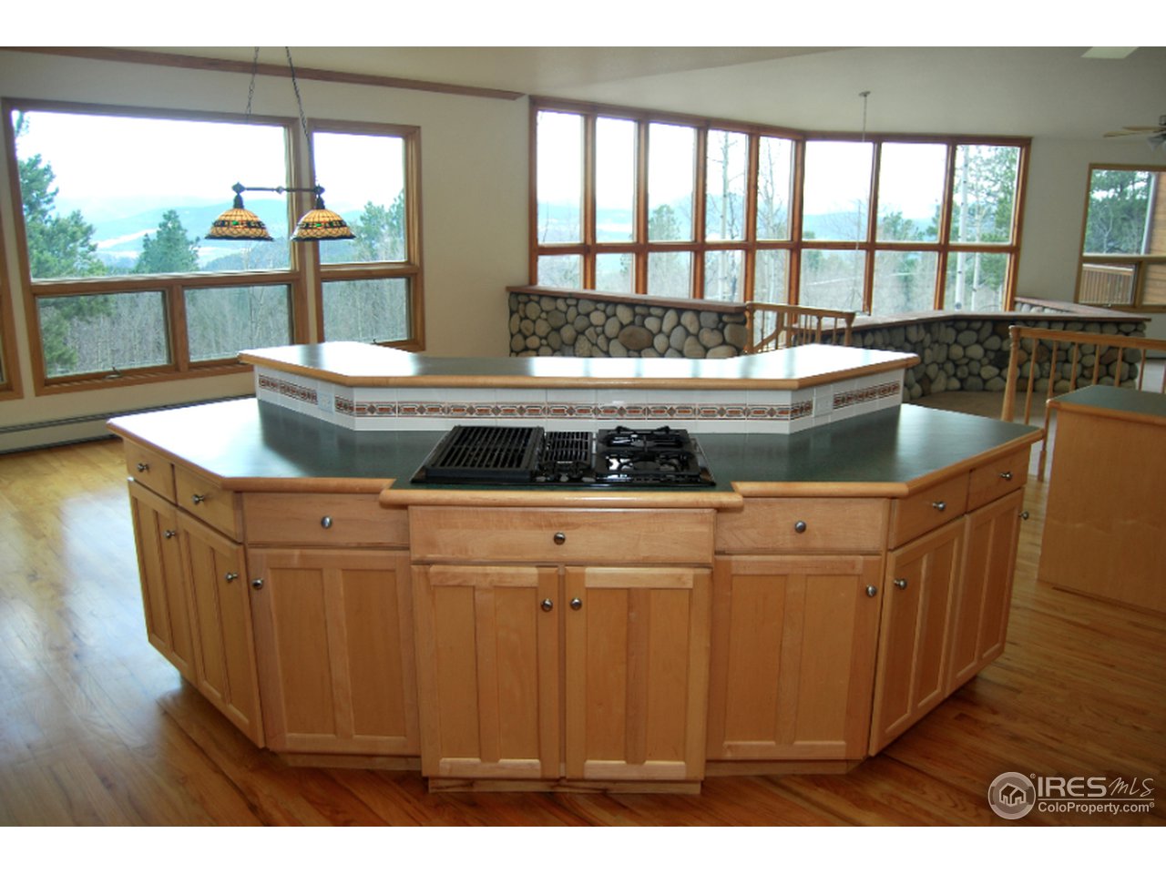 98 Badger Road Black Hawk, CO 80422 - Photo 6 of 25 Gallery Image 6