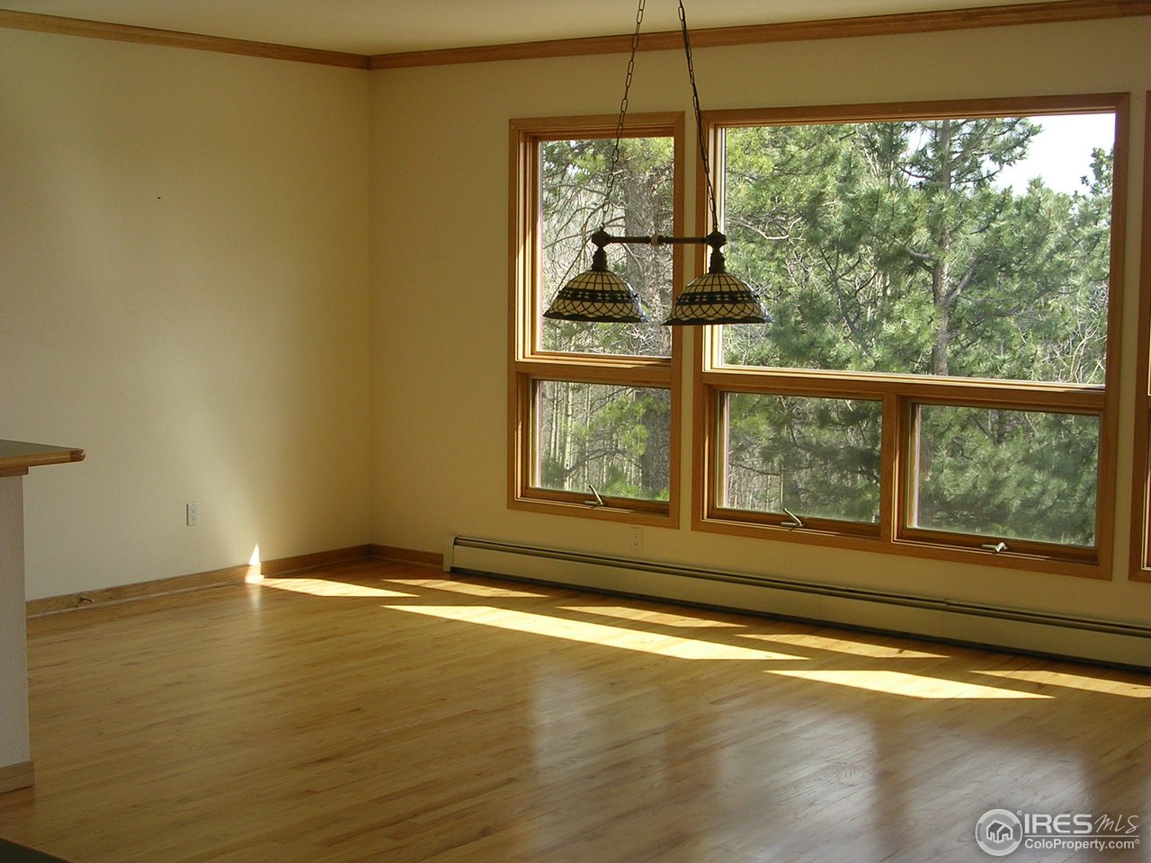 98 Badger Road Black Hawk, CO 80422 - Photo 9 of 25 Gallery Image 9
