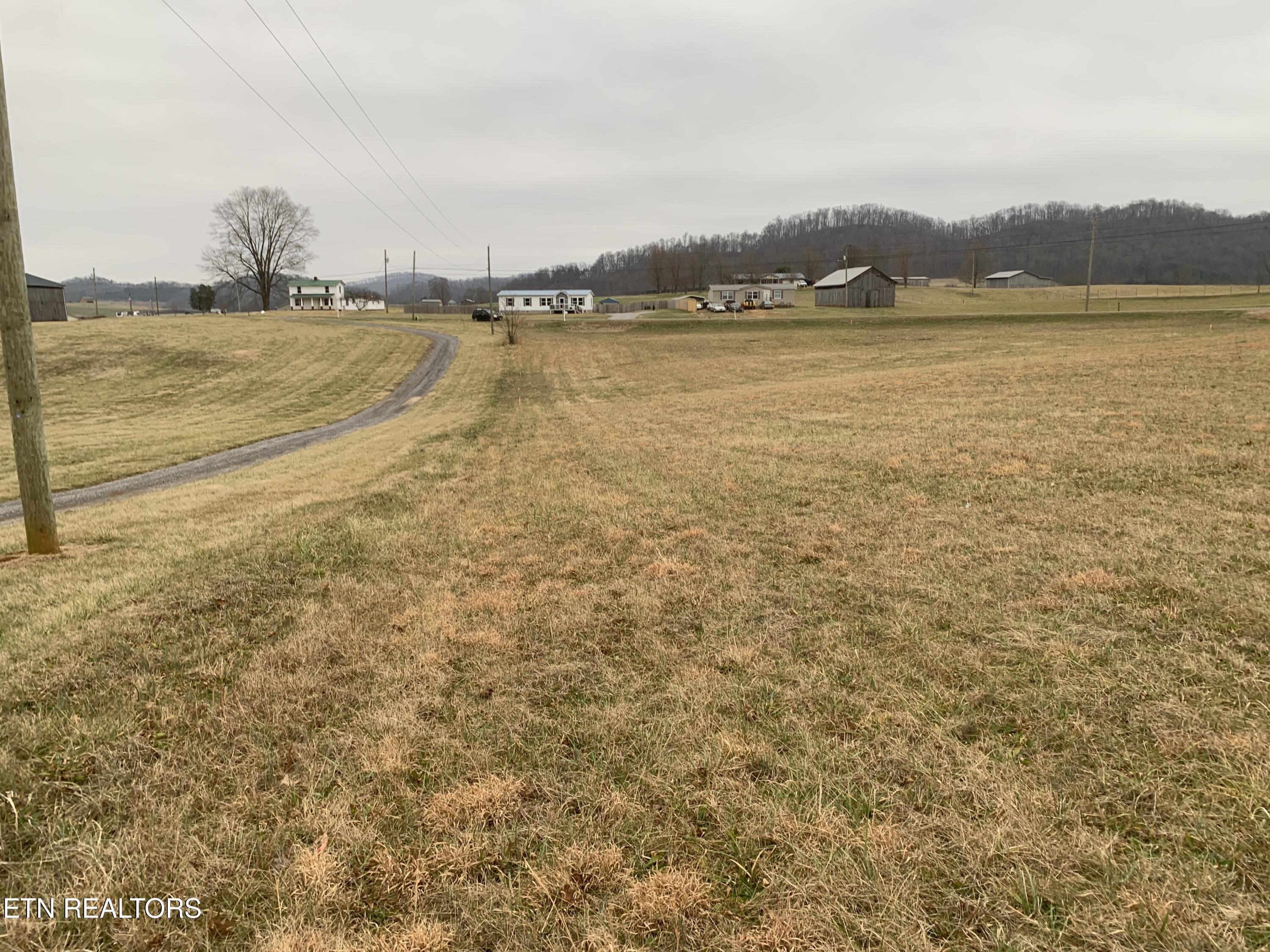 0 Hickory Cove Road Rogersville, TN 37857 - Photo 11 of 13 IMG_1479