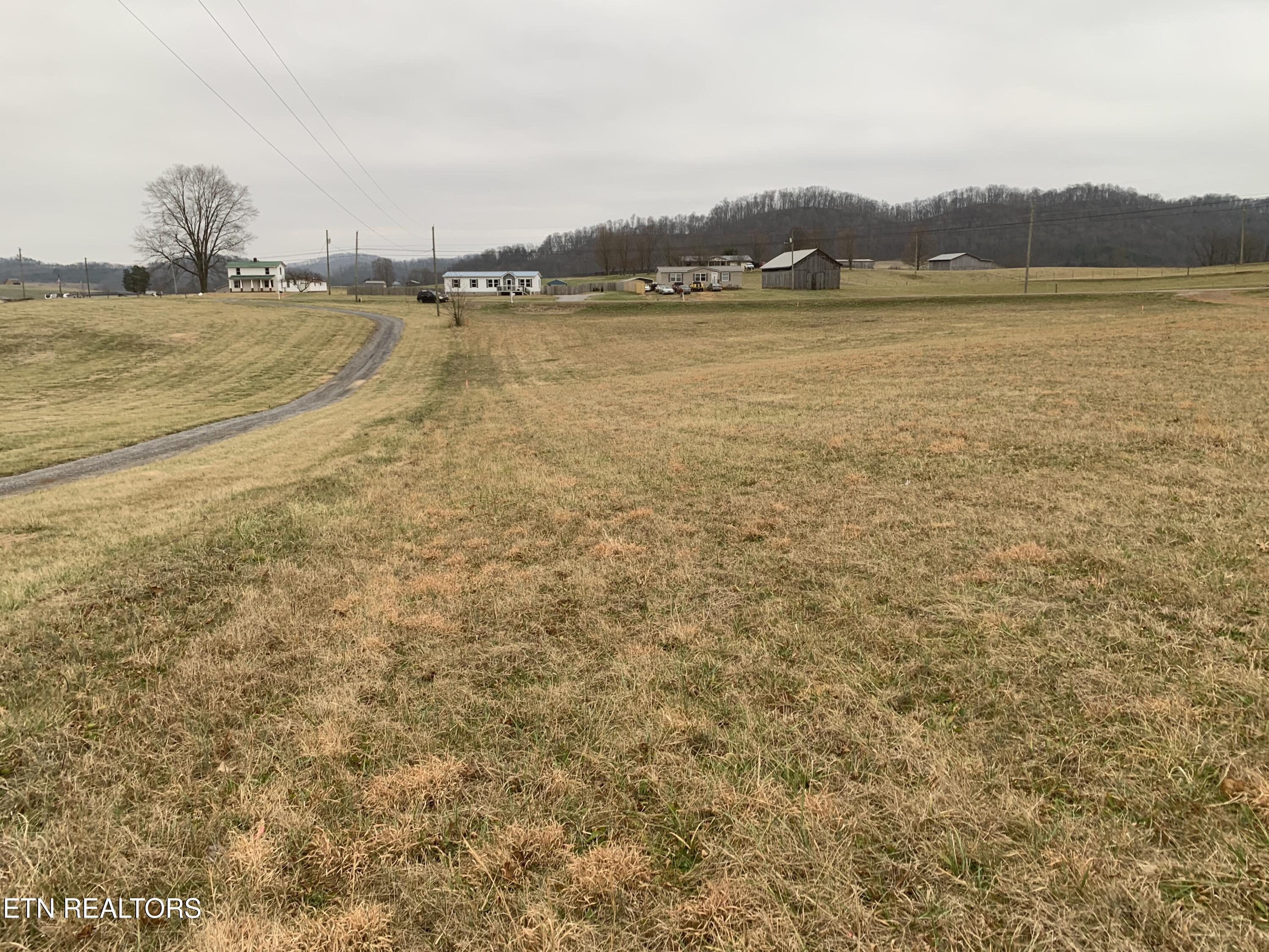 0 Hickory Cove Road Rogersville, TN 37857 - Photo 13 of 13 IMG_1481